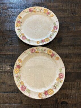 Vintage The Princess Floral Design Dinner Plates Crazing Staining Kitchen Dining